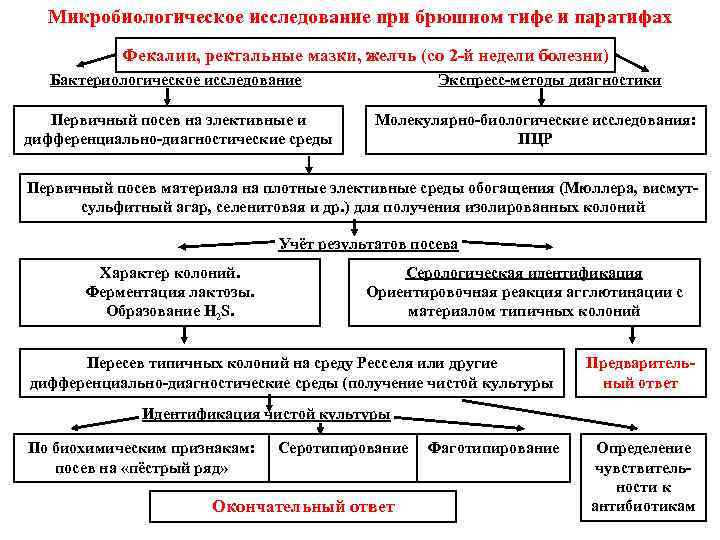 Диагностика брюшного