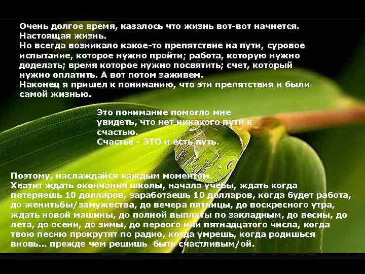Очень долгое время, казалось что жизнь вот-вот начнется. Настоящая жизнь. Но всегда возникало какое-то