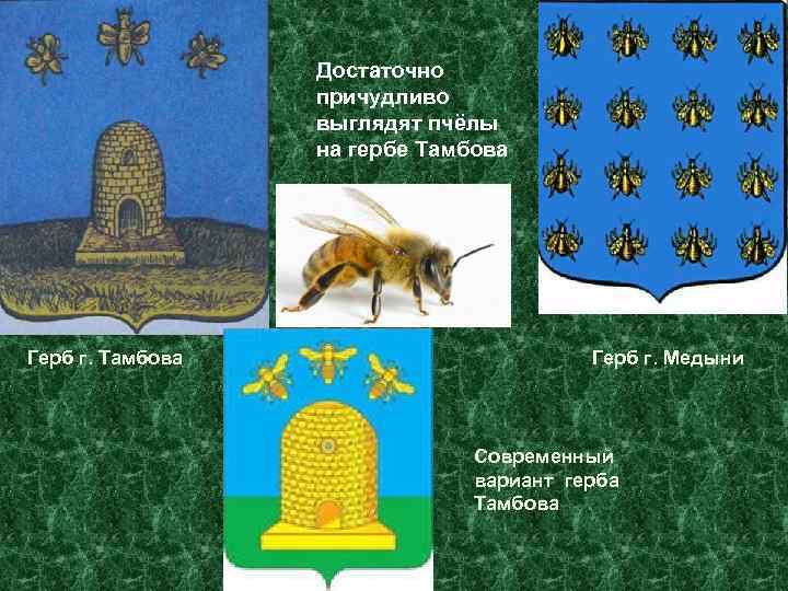 Достаточно причудливо выглядят пчёлы на гербе Тамбова Герб г. Медыни Современный вариант герба Тамбова