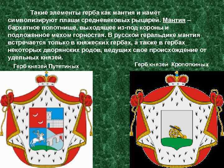 Геральдика это. Намет или намёт в геральдике. Герб князей Репниных. Что такое геральдика кратко. Герб князей шуйских.