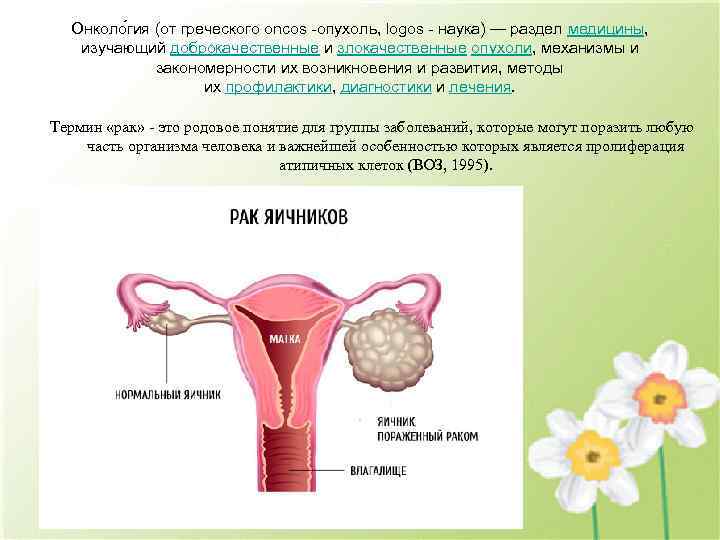 Онколо гия (от греческого oncos -опухоль, logos - наука) — раздел медицины, изучающий доброкачественные