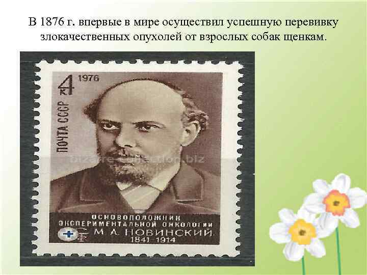 В 1876 г. впервые в мире осуществил успешную перевивку злокачественных опухолей от взрослых собак