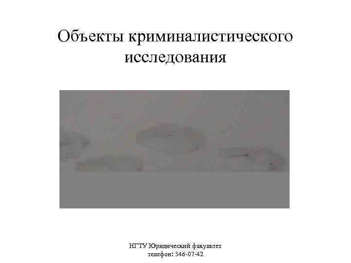 Объекты криминалистического исследования НГТУ Юридический факультет телефон: 346 -07 -42 