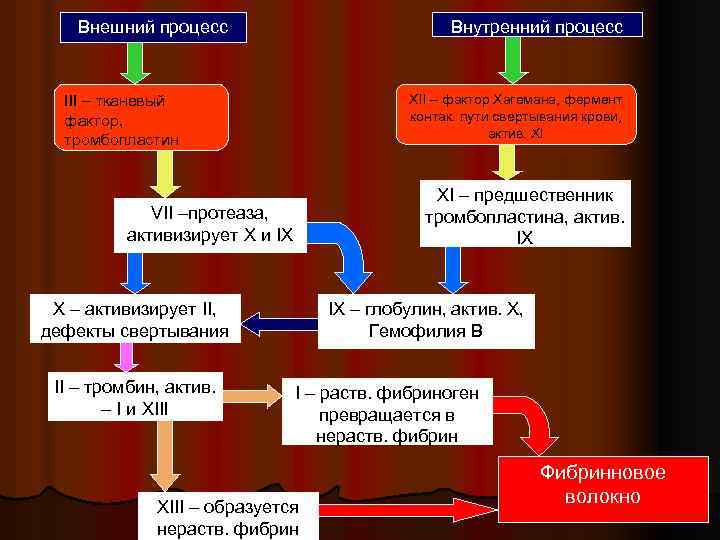 Внешняя процедура. Процесс свертывания крови тромбопластин. Тканевой тромбопластин (фактор III). Гемостаз схема тромбопластин. Фактор свертывания XI.