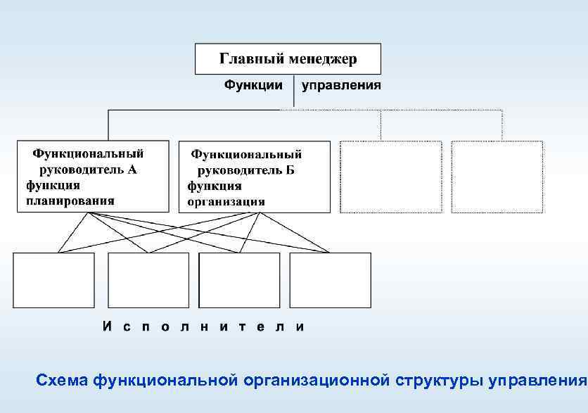 Функциональная организационная структура проекта