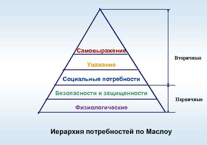 Потребности от низшего уровня к высшему расположите