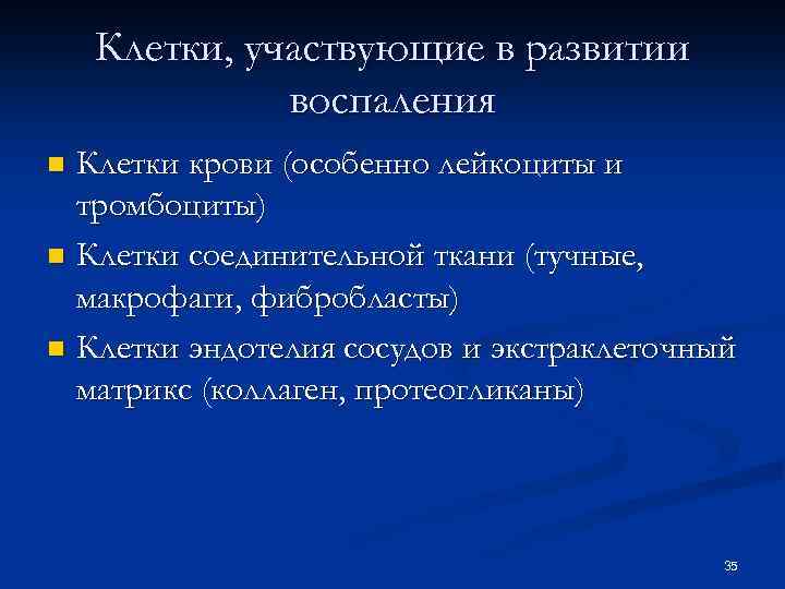 Клетки, участвующие в развитии воспаления Клетки крови (особенно лейкоциты и тромбоциты) n Клетки соединительной