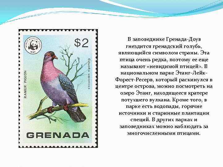  В заповеднике Гренада-Доув гнездится гренадский голубь, являющийся символом страны. Эта птица очень редка,