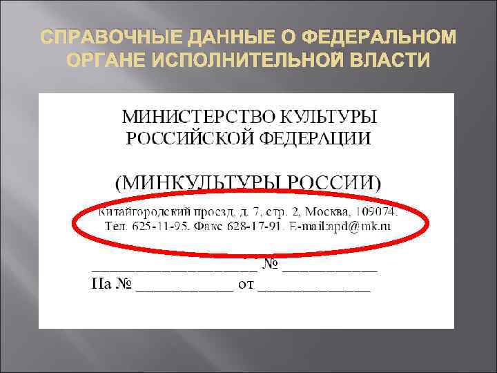 Документ государственного органа. Справочные данные об организации. Справочные данные об организации в документе. Справочные данные об организации пример. Оформление реквизита справочные данные об организации.