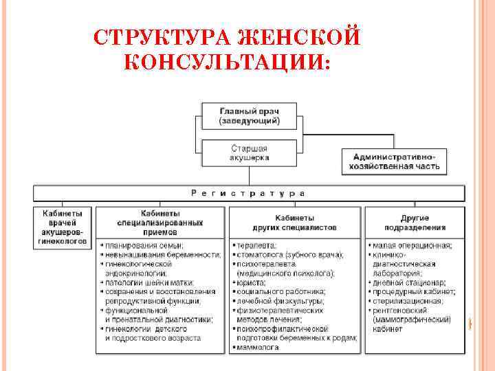 СТРУКТУРА ЖЕНСКОЙ КОНСУЛЬТАЦИИ: 