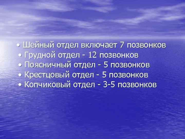  • Шейный отдел включает 7 позвонков • Грудной отдел - 12 позвонков •