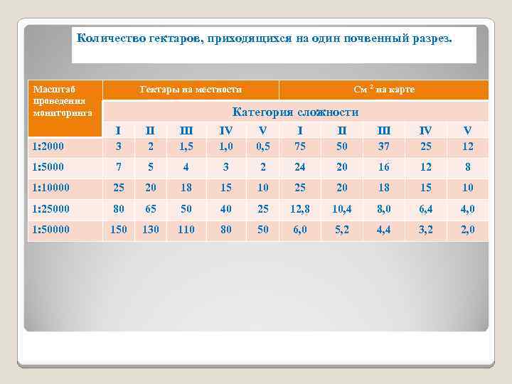 Количество гектаров, приходящихся на один почвенный разрез. Масштаб проведения мониторинга Гектары на местности См