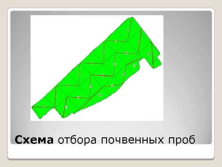 Схема отбора почвенных проб 