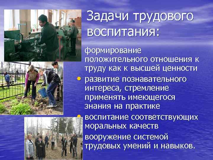 Задачи трудового воспитания: • формирование • • • положительного отношения к труду как к