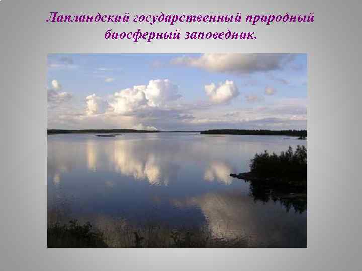 Лапландский государственный природный биосферный заповедник. 