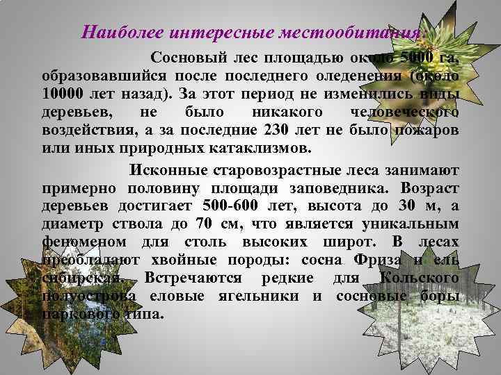 Наиболее интересные местообитания: Сосновый лес площадью около 5000 га, образовавшийся последнего оледенения (около 10000