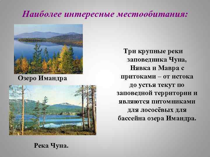 Наиболее интересные местообитания: Озеро Имандра Река Чуна. Три крупные реки заповедника Чуна, Нявка и