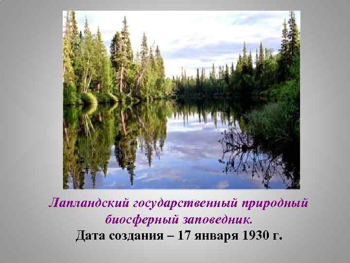Лапландский государственный природный биосферный заповедник. Дата создания – 17 января 1930 г. 