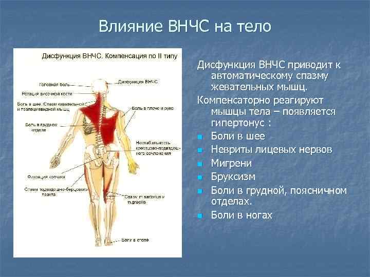 Дисфункции суставов. Функциональные нарушения ВНЧС. Мышечная дисфункция ВНЧС. Дисфункция височно-нижнечелюстного сустава. Дисфункция ВНЧС компенсация.