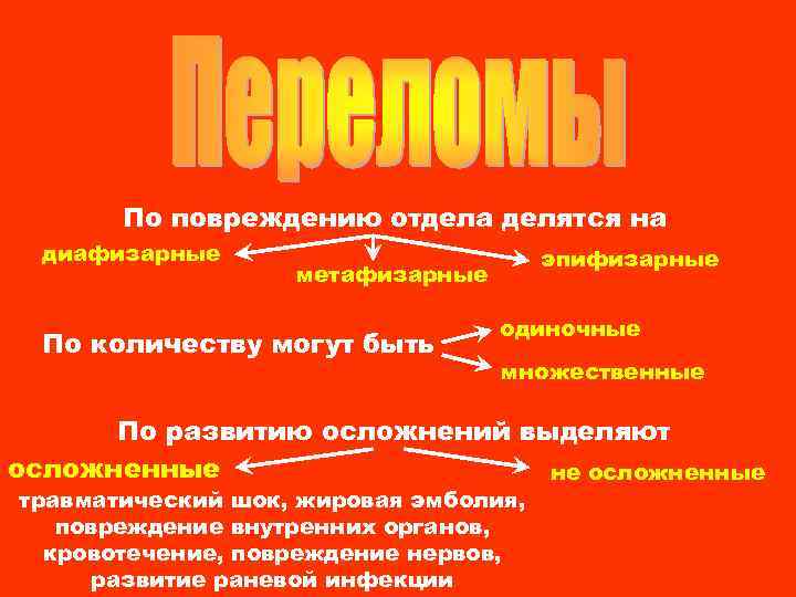 По повреждению отдела делятся на диафизарные эпифизарные метафизарные По количеству могут быть одиночные множественные