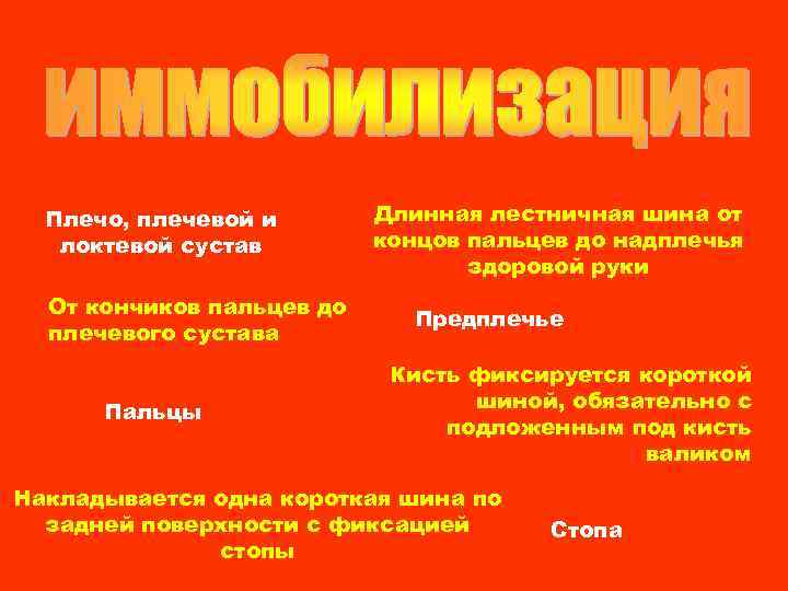 Плечо, плечевой и локтевой сустав От кончиков пальцев до плечевого сустава Пальцы Длинная лестничная