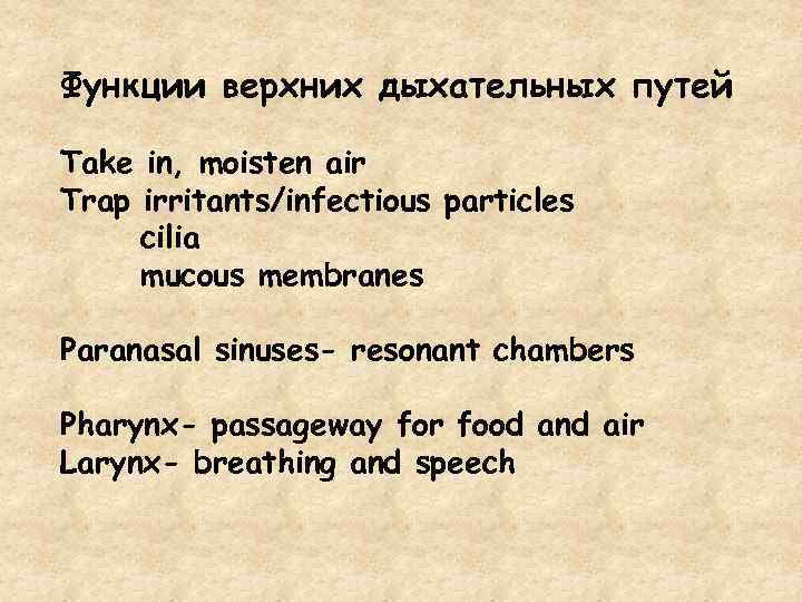 Функции верхних дыхательных путей Take in, moisten air Trap irritants/infectious particles cilia mucous membranes