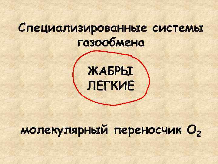 Специализированные системы газообмена ЖАБРЫ ЛЕГКИЕ молекулярный переносчик О 2 