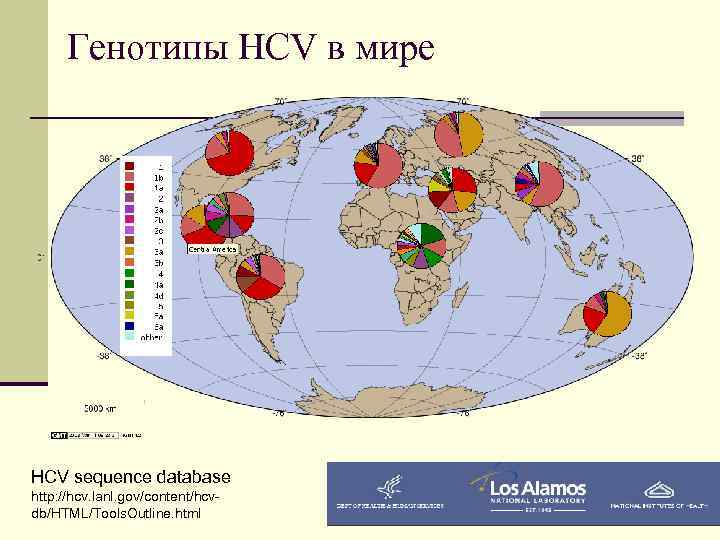 Генотипы HCV в мире HCV sequence database http: //hcv. lanl. gov/content/hcvdb/HTML/Tools. Outline. html 