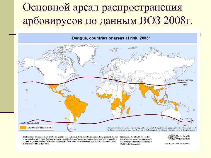 Основной ареал распространения арбовирусов по данным ВОЗ 2008 г. 
