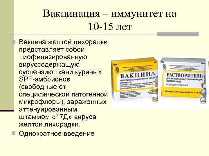 Вакцинация – иммунитет на 10 -15 лет n Вакцина желтой лихорадки представляет собой лиофилизированную