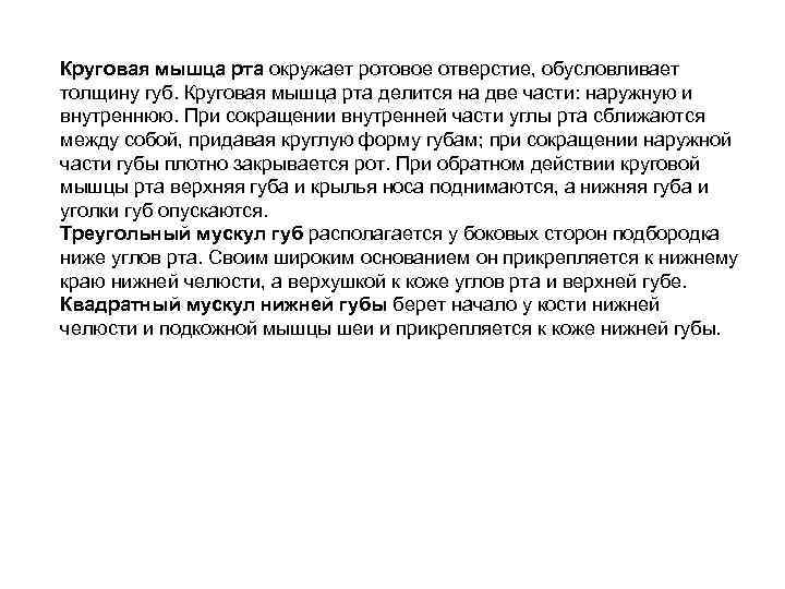 Круговая мышца рта окружает ротовое отверстие, обусловливает толщину губ. Круговая мышца рта делится на