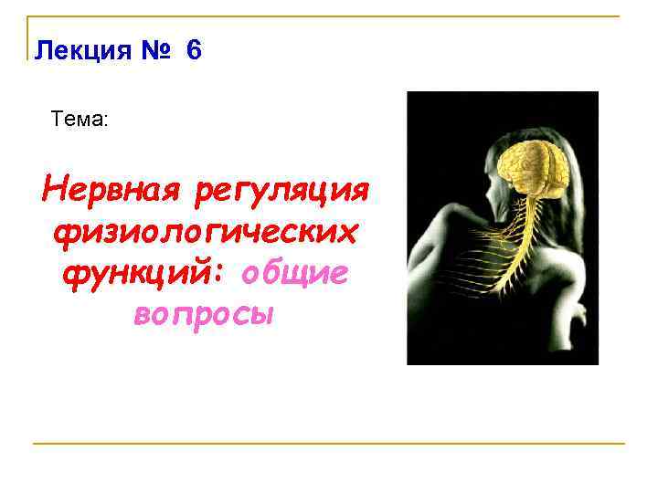 Лекция № 6 Тема: Нервная регуляция физиологических функций: общие вопросы 