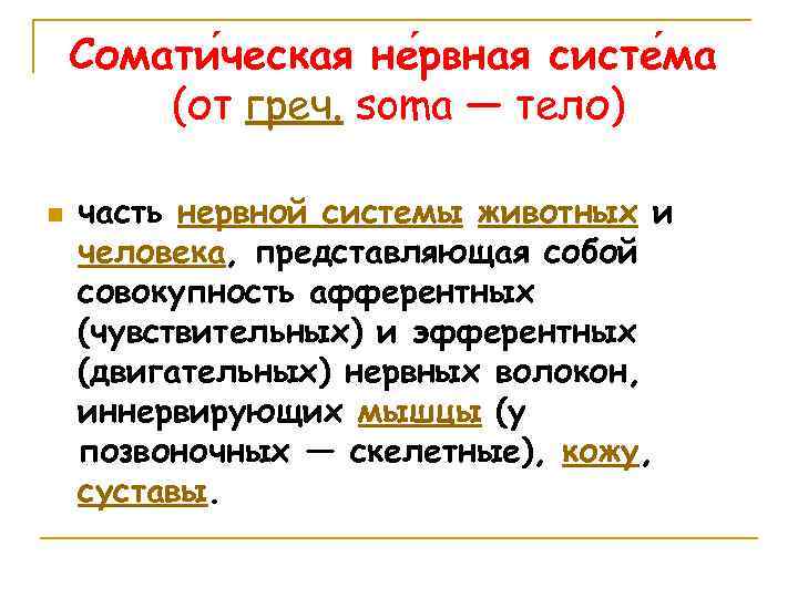 Сомати ческая не рвная систе ма (от греч. soma — тело) n часть нервной