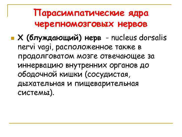 Парасимпатические ядра черепномозговых нервов n X (блуждающий) нерв - nucleus dorsalis nervi vagi, расположенное