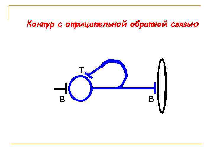 Контур с отрицательной обратной связью 