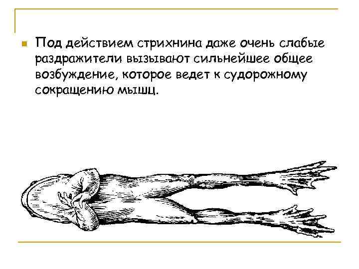 n Под действием стрихнина даже очень слабые раздражители вызывают сильнейшее общее возбуждение, которое ведет
