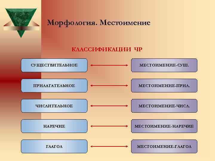Морфология. Местоимение КЛАССИФИКАЦИИ ЧР СУЩЕСТВИТЕЛЬНОЕ МЕСТОИМЕНИЕ-СУШ. ПРИЛАГАТЕЛЬНОЕ МЕСТОИМЕНИЕ-ПРИЛ. ЧИСЛИТЕЛЬНОЕ МЕСТОИМЕНИЕ-ЧИСЛ. НАРЕЧИЕ МЕСТОИМЕНИЕ-НАРЕЧИЕ ГЛАГОЛ МЕСТОИМЕНИЕ-ГЛАГОЛ