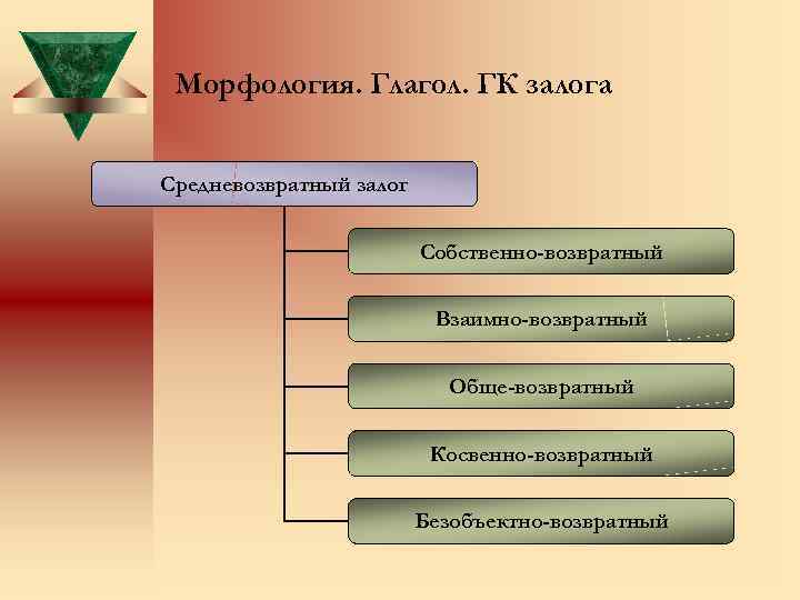 Морфология. Глагол. ГК залога Средневозвратный залог Собственно-возвратный Взаимно-возвратный Обще-возвратный Косвенно-возвратный Безобъектно-возвратный 