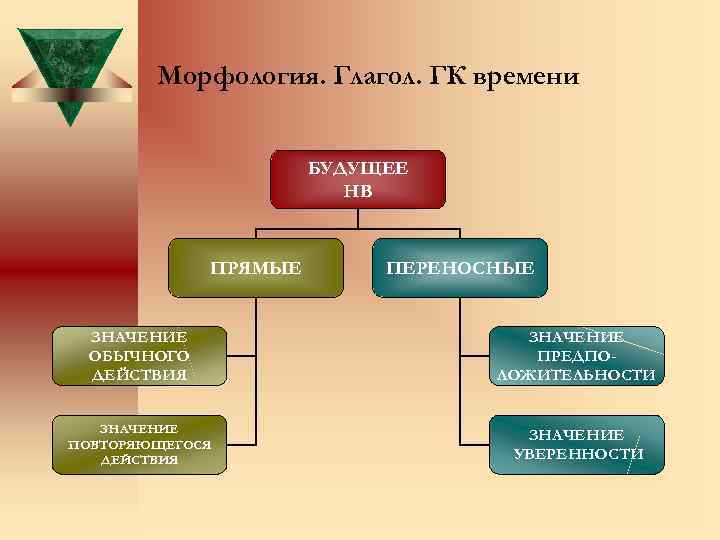Морфология. Глагол. ГК времени БУДУЩЕЕ НВ ПРЯМЫЕ ПЕРЕНОСНЫЕ ЗНАЧЕНИЕ ОБЫЧНОГО ДЕЙСТВИЯ ЗНАЧЕНИЕ ПРЕДПОЛОЖИТЕЛЬНОСТИ ЗНАЧЕНИЕ