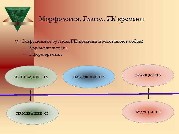 Морфология презентация 10 класс