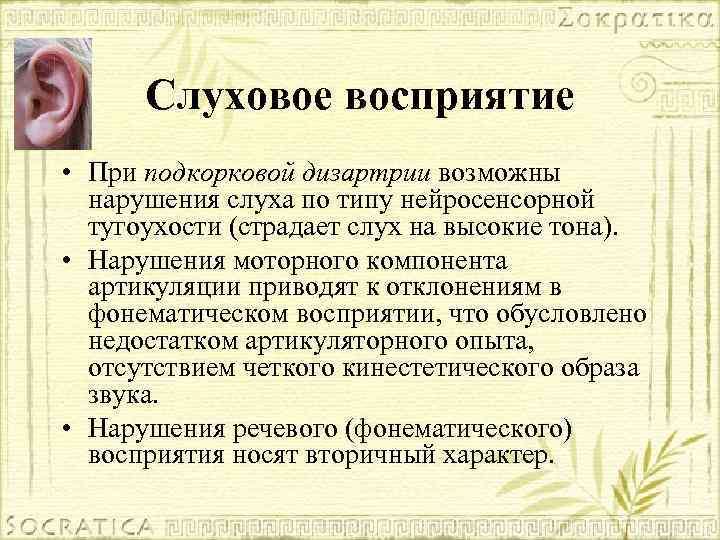 Слуховое восприятие • При подкорковой дизартрии возможны нарушения слуха по типу нейросенсорной тугоухости (страдает