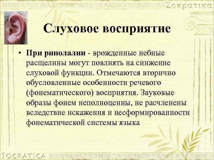 Слуховое восприятие • При ринолалии - врожденные небные расщелины могут повлиять на снижение слуховой
