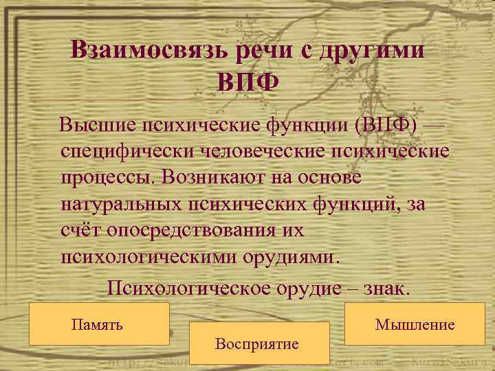 Роль речи в развитии высших психических функций презентация