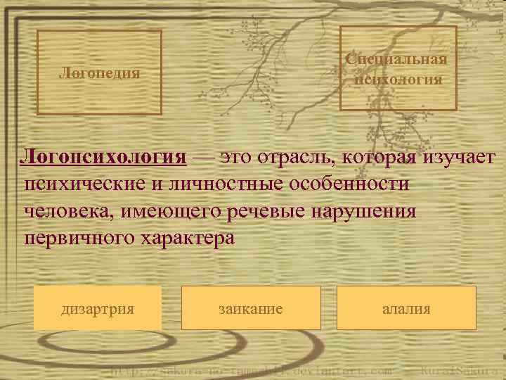 Специальная психология Логопедия Логопсихология — это отрасль, которая изучает психические и личностные особенности человека,
