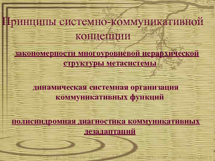 Принципы системно-коммуникативной концепции закономерности многоуровневой иерархической структуры метасистемы динамическая системная организация коммуникативных функций полисиндромная