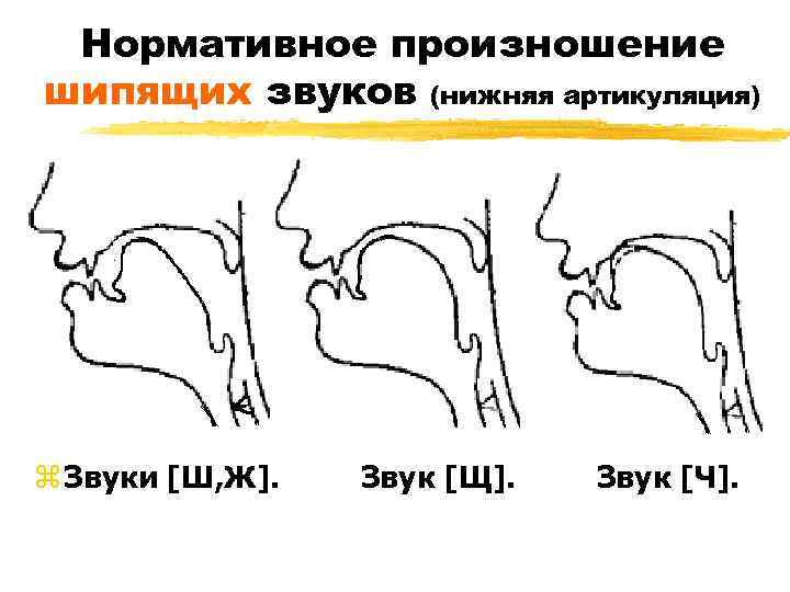 Артикуляция звука ч картинка