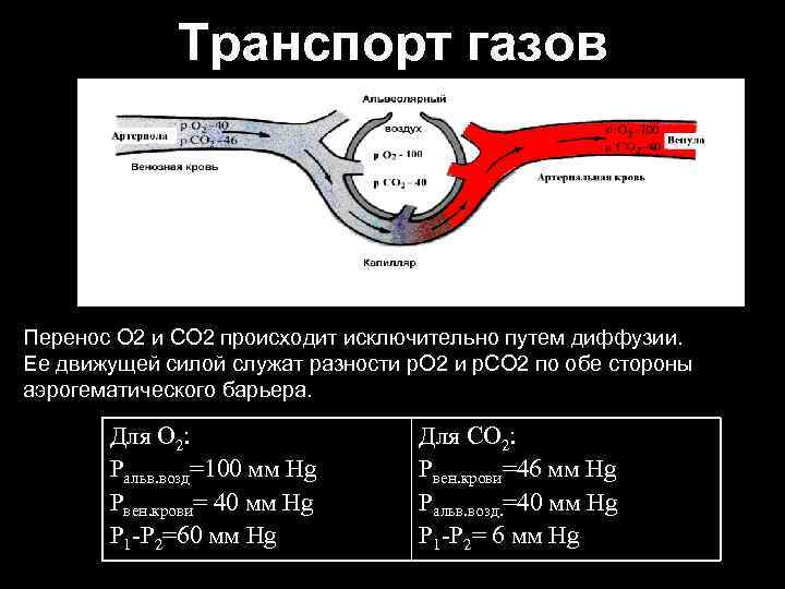 Транспорт газов