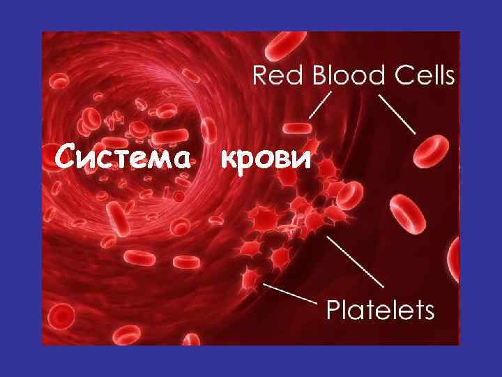 Система крови картинки