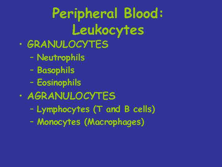 Peripheral Blood: Leukocytes • GRANULOCYTES – Neutrophils – Basophils – Eosinophils • AGRANULOCYTES –