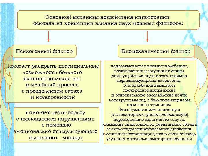 Основной механизм воздействия иппотерапии основан на концепции влияния двух мощных факторов: Психогенный фактор Помогает